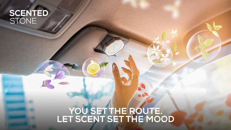 Trapo Scented Stone (Starter Kit)