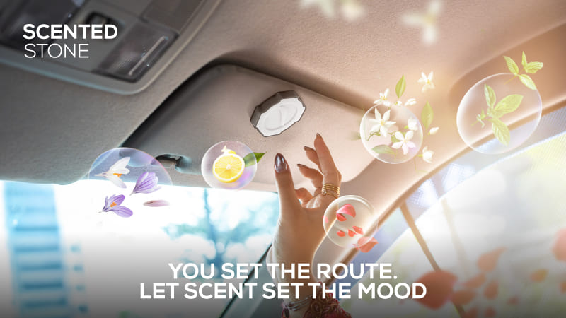 Trapo Scented Stone (Starter Kit)